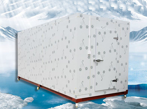 Công nghiệp ngưng tụ đơn vị đi bộ trong tủ đông 150mm PU bảng điều chỉnh mới Emerson bánh thành phần cốt lõi cho kho lạnh Trái Cây Rau - Product Image 4