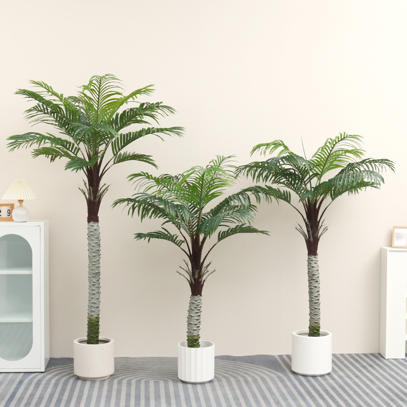 Arbre de noix de coco