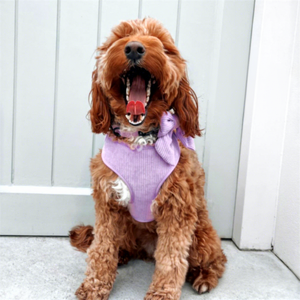 Ensemble laisse et harnais pour chien avec logo personnalisé, gilet réglable anti-traction pour animaux de compagnie avec nœud papillon et porte-sac à déjections, pour chiens de petite et moyenne taille - Product Image 3