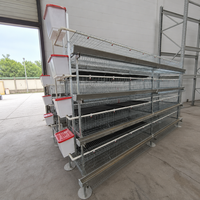 Cages à poules pondeuses de type H galvanisées à 3 ou 4 niveaux pour l'élevage avicole – Grande Vente