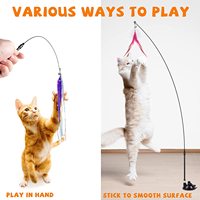 Jouet interactif pour chat avec ventouse super puissante, plumes et cordes, accessoires de rechange pour le jeu des animaux de compagnie