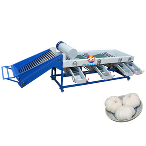 Macchina Commerciale per la Selezione dell'Aglio ad Alta Capacità con Sistema Automatico di Classificazione e Precisione Dimensionale - Product Image 2