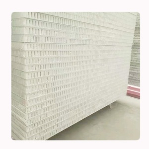 FRP XPS <span class=keywords><strong>Mousse</strong></span> Composite <span class=keywords><strong>Panneau</strong></span> Plancher Frp Sandwich Panneaux Pour Rv - Product Image 6