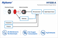 Capteur optique d'oxygène dissous Hybono HY508-A RS485 avec essuie-glace autonettoyant pour l'élevage de crevettes à haute densité