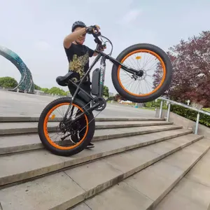 Diseño Original de buena calidad de 26 pulgadas neumático gordo fácil montar eco bicicletas con alta calidad