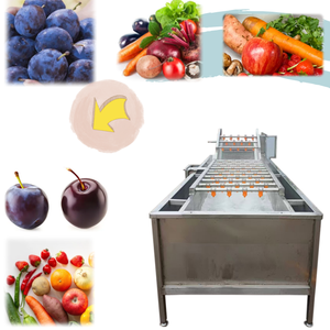 غسالة صناعية بالطماطم والثوم بالجزر عالية السرعة ، محضرة صناعية آلية صانعة خضروات - Product Image 6