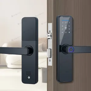 Goking Goedkope Prijs Vingerafdruk Elektrische Hotel Lock Intelligente Tuya Ttlock Smart Home Meubelen Tt Deurslot Digitaal Met Wifi