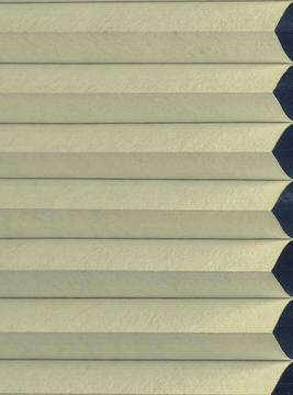 แบล็คเอาท์2