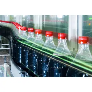 Machine d'étiquetage de remplissage de bouteilles de boissons gazeuses gazeuses à eau gazeuse