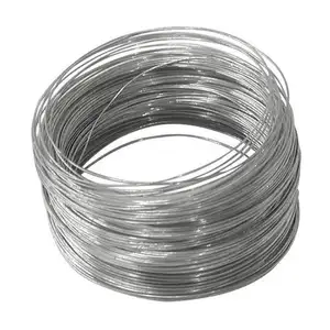 Dingzhou MEILLEUR fil d'acier galvanisé pour soutien-gorge 1.6mm prix du fil gi par kilogramme en Egypte