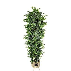 Trong nhà trung tâm mua sắm khách sạn cửa sổ trang trí mô phỏng cây đa cây nhân tạo chậu cây - Product Image 6