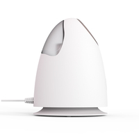 Vaporisateur facial à pulvérisation chaude Nano Ionic Facial Steamer Rajeunir Hydratant Nettoyage des Pores Professionnel Visage Vapeur