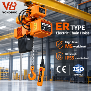 Custom IP55 <strong>Double</strong> Speed 1 2 3 5 10 Ton Electric Chain Hoist for Crane Lifting Machine Polipasto De Cadena Talha El&eacute;trica - Product Image 1