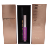 Aurora Private Label Kit Cadeau Rouge à Lèvres Liquide Étanche Mat Brillant à Lèvres Ombre Doré Ensemble de Maquillage Personnalisé