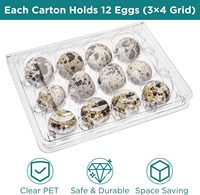 Boîte d'emballage pour œufs de caille en plastique PET transparent à 12 trous, prix d'usine, plateau en plastique pour œufs de caille
