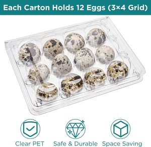 Boîte d'emballage pour œufs de caille en plastique PET transparent à 12 trous, prix d'usine, plateau en plastique pour œufs de caille - Product Image 6