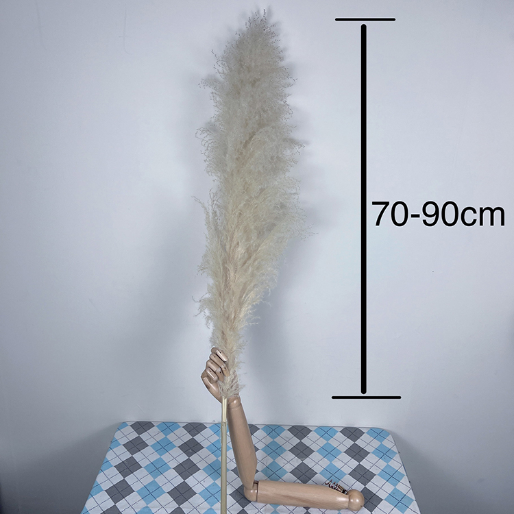 Naturale (lunghezza della testa 80-100cm)