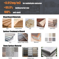 Meuble de cuisine modulaire en MDF, écologique, ignifuge, design contemporain, garantie 5 ans+, pour cuisine ouverte d'hôtel