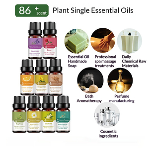 86 saveurs, 10 ml, huile essentielle 100% pure et biologique à base de plantes pour diffuseur d'arômes, humidificateur, fabrication de bougies, boules de bain et massage corporel - Product Image 2