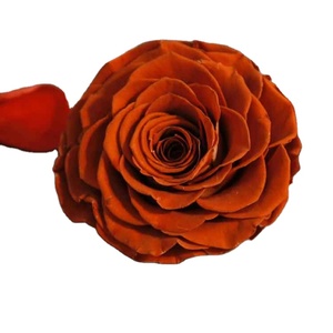 Roses <span class=keywords><strong>éternelle</strong></span>s avec fleurs er, 7/lot, Roses conservées, vente en gros - Product Image 4