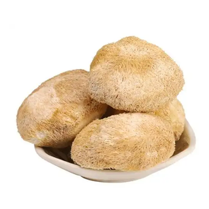 Fabrika kaynağı aslan yelesi mantar tozu organik aslanlar yele mantar 50% yüksek kaliteli aslanlar yele mantar özü tozu - Product Image 3