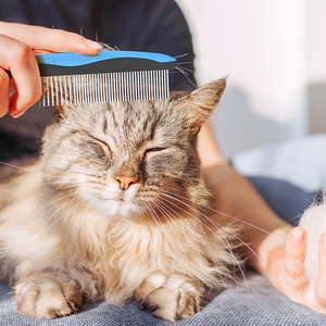 Brosse de toilettage pour animaux de compagnie arrondie professionnelle en acier inoxydable Pet Cat Dog Hair Grooming Peigne Outil pour enlever les enchevêtrements et les nœuds - Product Image 5