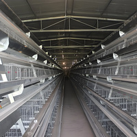 Nouvelle cage à poules de type H pour élevage en batterie, poules pondeuses, haute productivité