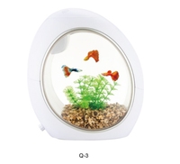 Nouveauté Design Desk Top Mini Fashion Aquarium Fish Tank