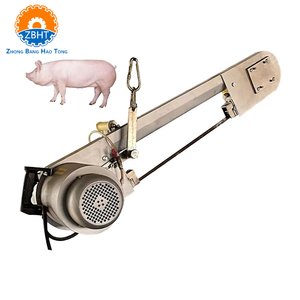 Machine à fendre les carcasses de porcs pour abattoir, scie à ruban pour la <span class=keywords><strong>d</strong></span>écoupe en deux des carcasses de porcs, équipement <span class=keywords><strong>d</strong></span>'abattoir - Product Image 4