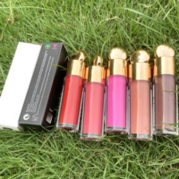 Rouge à Lèvres Liquide Mat Imperméable Cosmétiques Personnalisés de Luxe à Étiquette Privée, 20 Couleurs