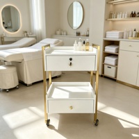 Chariot de luxe pour salon de beauté, chariot de gestion des soins cutanés avec étagère, chariot à outils en métal et plastique, chariot de salon doré avec roulettes