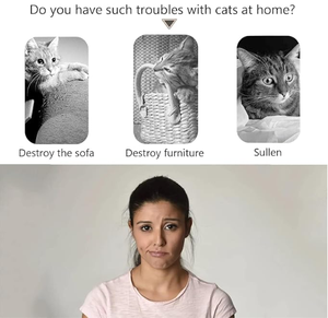 Organ ajaib penggaruk kucing dengan, mainan interaktif pokok petualangan bola untuk latihan fisik dan kucing dalam ruangan - Product Image 2