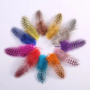Vente en gros, petite plume de volaille colorée de guinée, mélange de couleurs, perle plume pour chapeaux, artisanat de bricolage, décoration