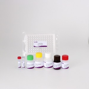 ASIA-1 Foot-and-Mouth Disease Virus (FMDV) Antibody ELISA <strong>Kit</strong> for Swine - OIE Validated - Product Image 4