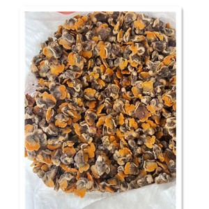 Almeja congelada fresca <span class=keywords><strong>precio</strong></span> competitivo nueva temporada carne de almeja de sangre congelada - Product Image 2