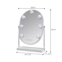 Oval LED Lighted Glass Metal Frame Vanity Mirror Touch Switch 1X Magnification 7 Dimmable LED Lights Storage Tray USB