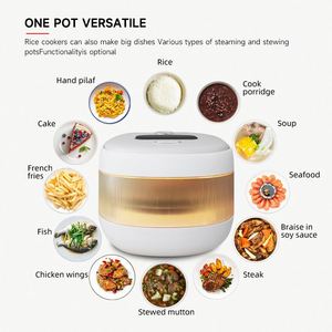 Autocuiseur Électrique Multifonctionnel de Luxe en Alliage de Titane 3.0L à Faible Teneur en Glucides, de Haute Qualité, pour la Maison - Product Image 4