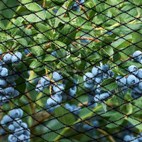 Zwarte HDPE vogelnetten voor landbouw, fruitbomen en tuinen
