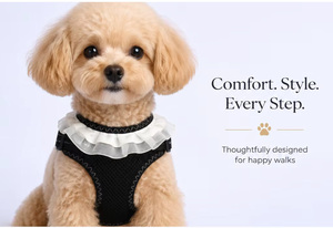 Cute Lace Frill <b>Pet</b> Dog <b>Harness</b> Leash Set Adjustable Reflective Mesh Puppy Vest <b>Harness</b> For Daily Outdoor Walk - Product Image 5