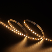 Éclairage de décoration intérieure, bande lumineuse LED DC12V/24V, CCT modulable, 120 LED/m, 8 mm, flexible, à intensité variable