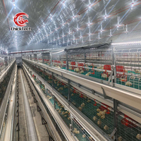 Équipement d'élevage de poulets automatique de type H/A Cages d'élevage de poulets de chair en batterie pour ferme avicole en nouvelle condition à vendre au Nigeria