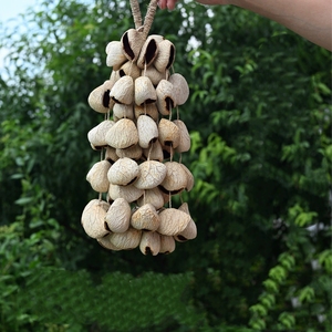 Campana de Viento de Frutas Secas Naturales al por Mayor, Panji Chacha Juju Salin, Cápsula de Semilla para Instrumento Musical de Sanación Sonora - Product Image 3