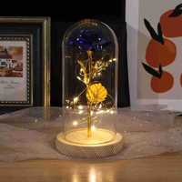 Rose sous cloche en verre avec lumières LED, cadeau pour maman, femme, petite amie, fleurs et plantes immortelles