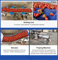 Machine industrielle de séchage et de traitement des mangues, ligne de nettoyage et de séchage des fruits avec système d'ozone, machines de lavage et d'emballage des dattes