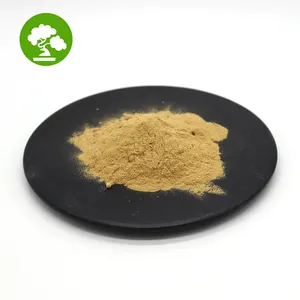 Extracto de raíz de jengibre Gingerol en polvo Soluble en agua Natural de alta calidad 5%