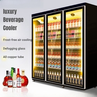 9-Congélateur vertical de luxe en fer simple face direct d'usine pour présentoir de boissons alcoolisées et de boissons Refroidisseur de boissons cola