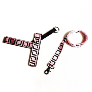 Hunde geschirr Leinen Set Französische Bulldogge <span class=keywords><strong>Schnauzer</strong></span> Corgi Chihuahua Groß Mittel Klein Hunde halsband Nylon Brief Verstellbar Langlebiges Haustier - Product Image 3