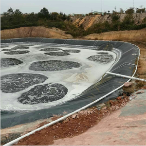 1MMHDPEプラスチックシート造園用カスタムジオメンブレン池ライナー - Product Image 4