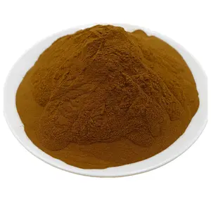 Reishi Mushroom E.P. 4:1 / Ganoderma lucidum Karst / extract high quality fresh goods large stock factory supply