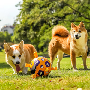 Juguete para perros TPR <span class=keywords><strong>de</strong></span> alta resistencia directo <span class=keywords><strong>de</strong></span> fábrica, Bola <span class=keywords><strong>de</strong></span> pastoreo resistente a la masticación indestructible, juguete interactivo <span class=keywords><strong>de</strong></span> estimulación Mental <span class=keywords><strong>de</strong></span> <span class=keywords><strong>razas</strong></span> grandes - Product Image 1